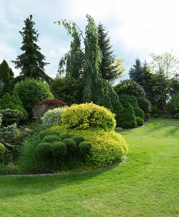Beautiful spring garden landscape design and build by McKinley Construction Management