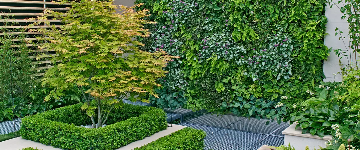 A small urban environmental Eco garden with a vertical living plant wall