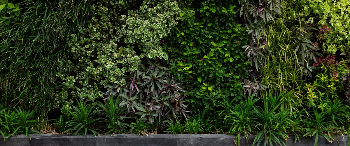 Variety of artificial plant in beautiful nature vertical garden, a green wall panorama background.