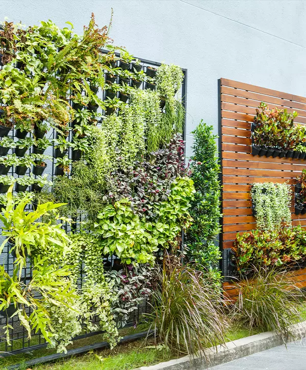 Vertical garden installation services