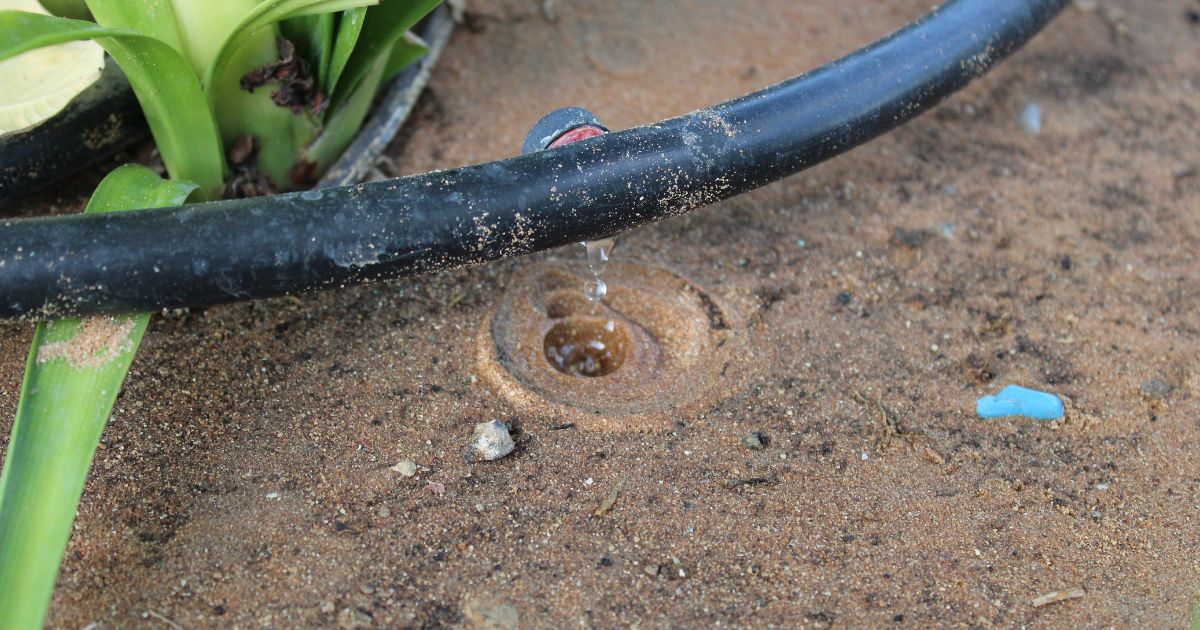 Drip Irrigation vs Soaker Hoses